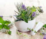 Fototapeta Lawenda - Fresh herbs