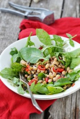 Wall Mural - beans and ruccola salad