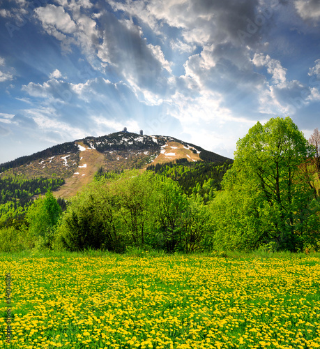 Naklejka ścienna Bavarian Forest National Park - Germany