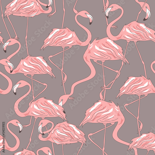 Fototapeta na wymiar Seamless pattern of flamingos