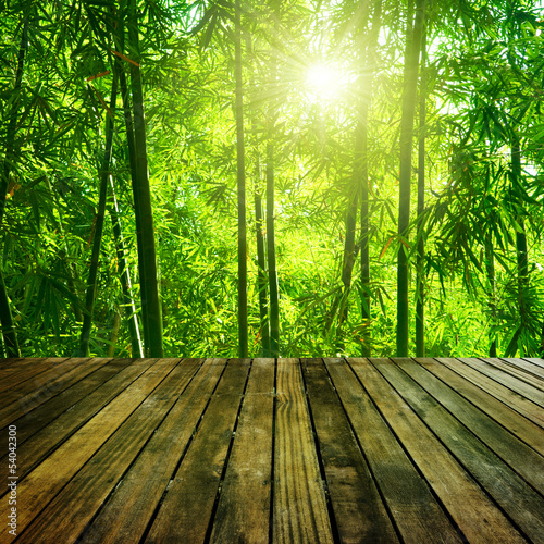 Naklejka dekoracyjna Bamboo forest.