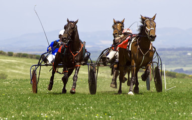 Trotting Race Synod Inn Cardigan Wales