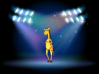 Poster - A giraffe standing in the middle of the stage