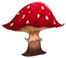 A Giant Red Mushroom
