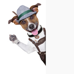 Poster - oktoberfest dog