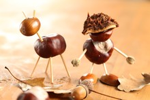 Chestnut And Acorn Figurines On Wooden Table