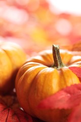 Wall Mural - Pumpkins and autumn leaves background