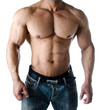 Muscular torso, pecs, abs and arms of male bodybuilder