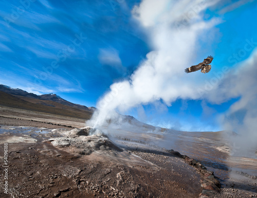 Cuadros en Lienzo Valley of Geysers in the Atacama Desert