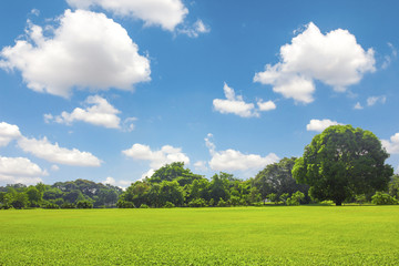 Wall Mural - Green park outdoor with blue sky cloud