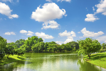 Wall Mural - Green park outdoor with blue sky cloud