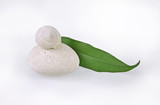 Fototapeta Kamienie - zielony liść i białe kamień