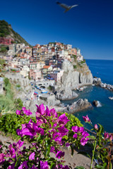 Manarola, Cinque Terre, Italy