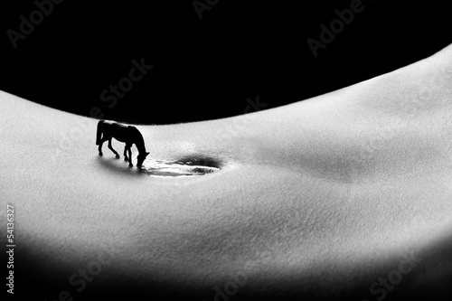 Obraz na plátně Nude Bodyscape Images of a Woman