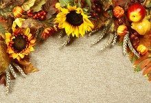 Sunflower, Autumn Leaves And Fruits On Burlap Background