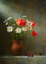 Still Life With Poppies And Daisies