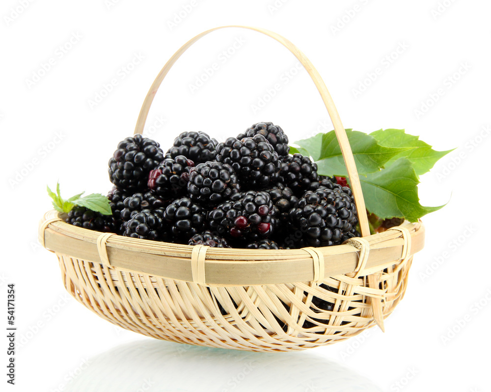 beautiful blackberries with leaves in basket isolated on white