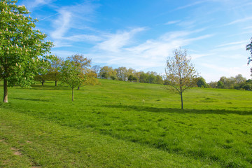 Poster - Primrose Hill, London