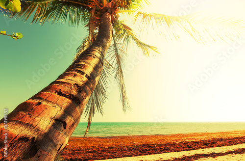 Obraz w ramie Tropical beach