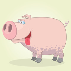 Pig