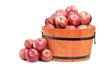 Poster - Studio shot of red apples in a wooden bucket