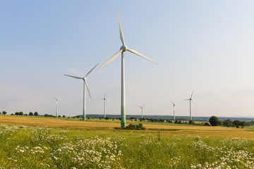 Wind engines with wild meadow and wheat field