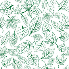 Poster - Seamless pattern of green leaves