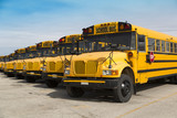 Fototapeta  - school buses