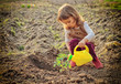 Little girl watering potatoes plant in a garden with yellow garden sprinkler