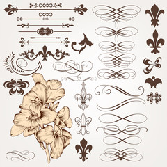 Wall Mural - vector set of vintage calligraphic design elements and page deco