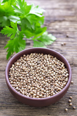 Poster - Coriander