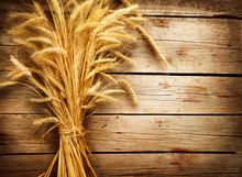 Wheat Ears On The Wooden Table. Harvest Concept