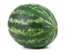 Big Green Water Melon