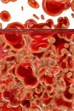 Blood cells - 3D Rendering