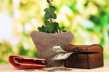 Wall Mural - Money tree with money on wooden table on natural background