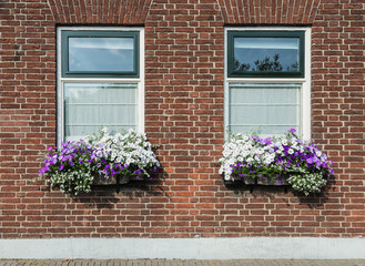 Sticker - Masonry brick wall with windows and flower boxes with flowering