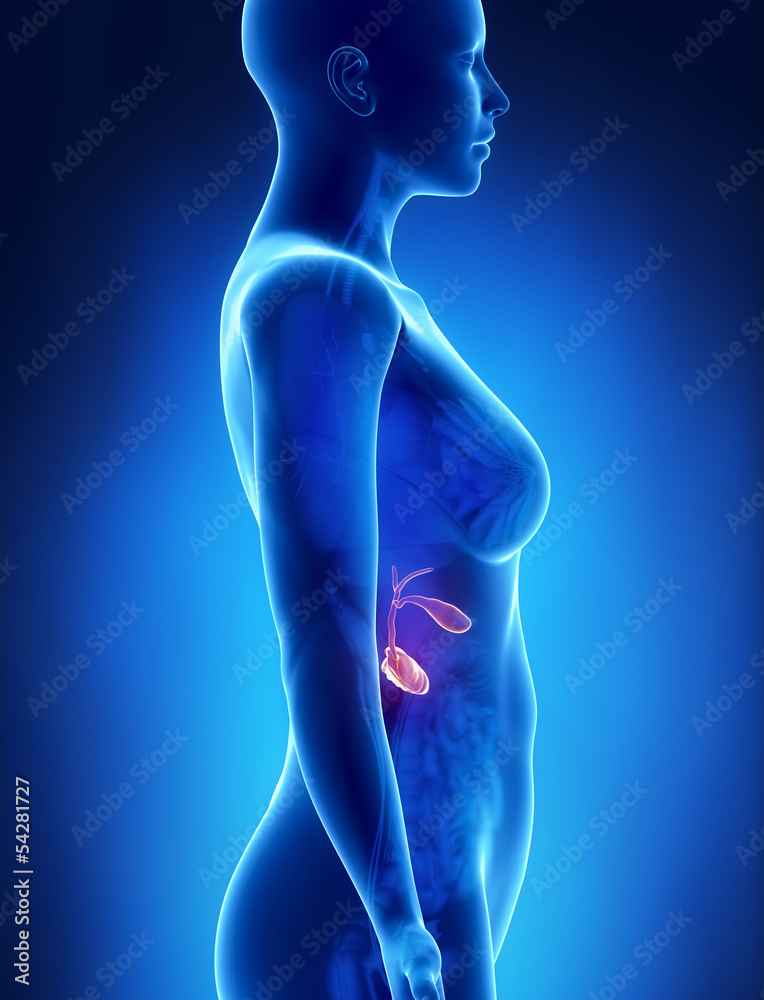 zdjecie-rentgenowskie-anatomii-pancreas-po-lewej-stronie