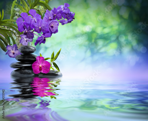 Foto-Kissen - violet orchids, black stones on the water (von Romolo Tavani)