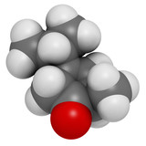 Fototapeta Perspektywa 3d - Thujone absinthe molecule, chemical structure.