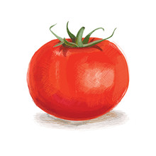 Handmade Red Tomato Isolated On White Background