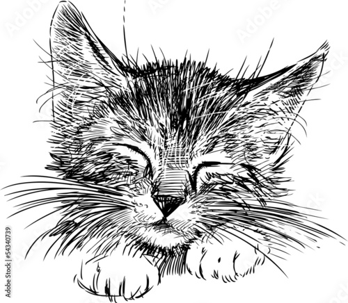 Obraz w ramie Śpiący mały kot - rysunek