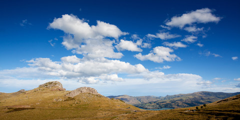 Canvas Print - New Zealand mountain landscape