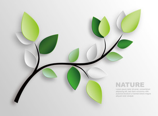 branch and leaves
