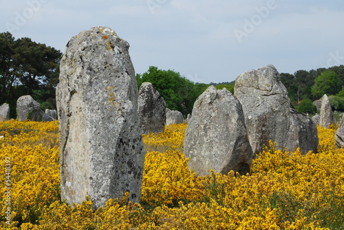 Foto-Banner - Menhirs à Carnac, Bretagne (von Ariane Citron)