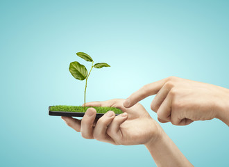 mobile phone with plant