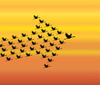 Leadership Synergy Concept  Swan flying - evening sky - arrow