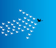 Leadership Synergy Concept  Swans flying - deep blue sky - arrow
