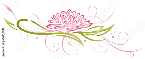 Plakat na zamówienie Lotusblüte, Lotusblume, Lotus, Seerose