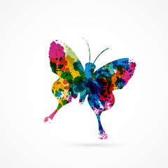 Wall Mural - papillon