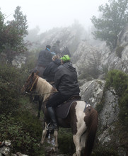 People Horse Ridding In A Misty Forest